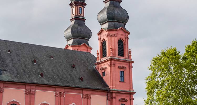 Twin onion-domed church towers contrasted against overcast skies and leafy trees.