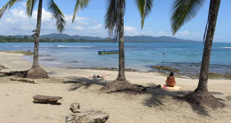 Playa de arena bordeada de palmeras con agua turquesa, bañistas y un pequeño bote en alta mar en un día brillante.