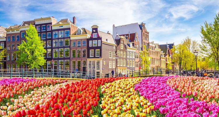 Des parterres de tulipes colorées serpentent le long des maisons à pignons des canaux d'Amsterdam sous un ciel printanier partiellement nuageux.