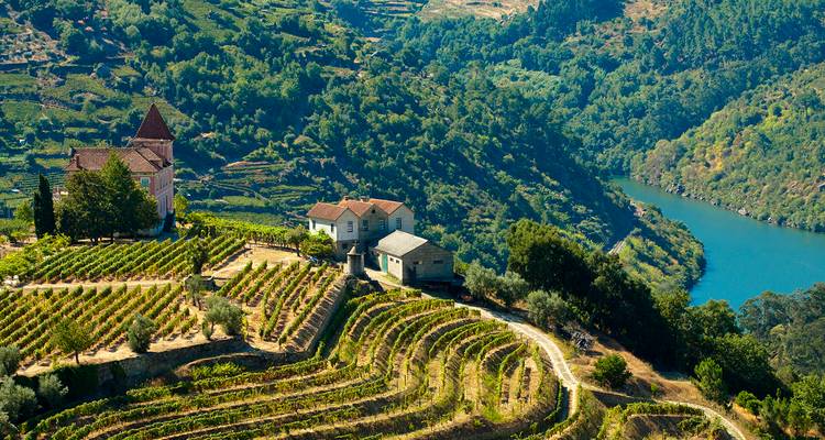 Vignobles en terrasses dégringolant vers le Douro bleu avec un petit village et des collines luxuriantes.