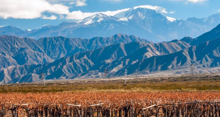 Las cañas otoñales del viñedo se extienden hacia las escarpadas montañas de los Andes cubiertas de nieve bajo un cielo salpicado de nubes.