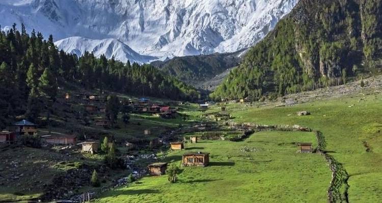 Green alpine meadows dotted with cabins beneath snow peaks near Fairy Meadows