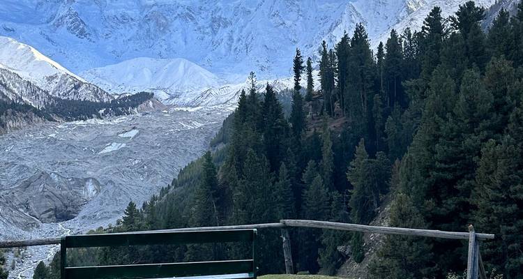 Bench overlooking glacier and pine forest valley beneath snow peaks in Fairy Meadows