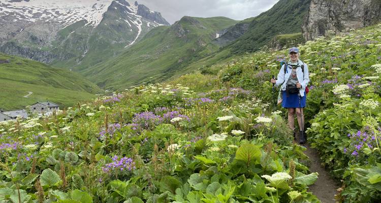 Un excursionista solitario se encuentra entre una alfombra de flores silvestres alpinas coloridas en un sendero estrecho.
