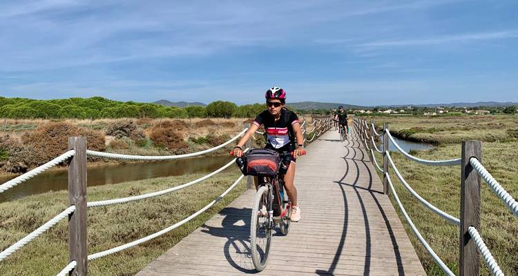 Radfahrer fahren über einen hölzernen Steg durch Sumpfland bei sonnigem Wetter.
