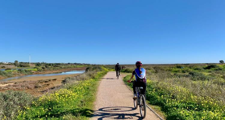 Radfahrer folgen einem Feldweg gesäumt mit Wildblumen neben einem ruhigen Bach.