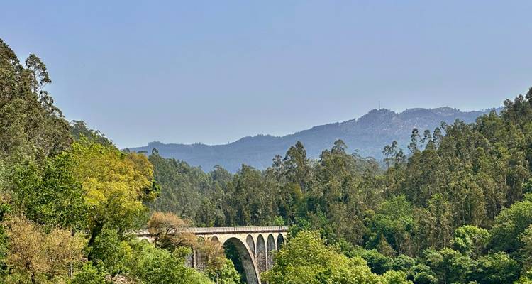 Un viaduc ferroviaire en pierre enjambe une vallée verdoyante luxuriante avec des collines boisées lointaines