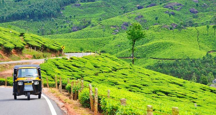 Pousse-pousse roulant le long d'une route sinueuse à travers les jardins de thé vert éclatant de Munnar.