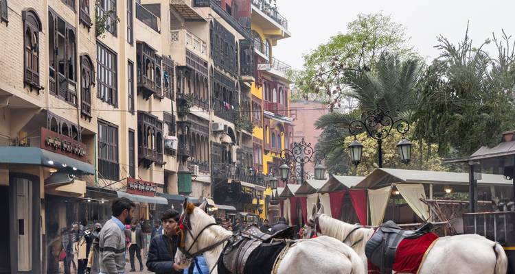 Rue patrimoniale animée bordée de bâtiments coloniaux colorés et de calèches à Lahore.