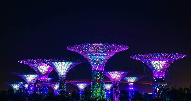 Bosquet de Supertrees illuminé brillant de lumières violettes et bleues contre le ciel nocturne de Singapour.