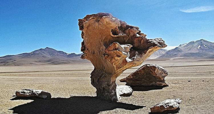 Vue ensoleillée de l'emblématique sculpture rocheuse Árbol de Piedra avec les crêtes enneigées des Andes en arrière-plan.