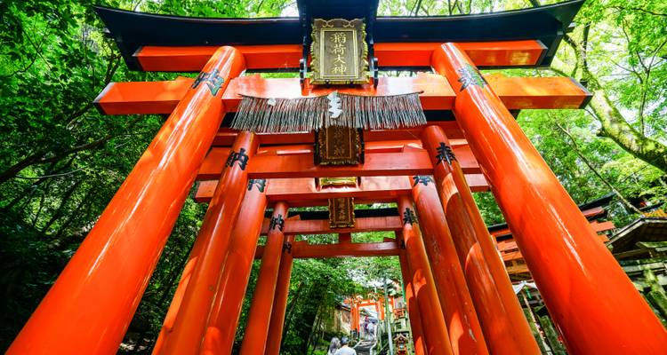 Dramatischer Blick nach oben durch Reihen von leuchtend roten Torii-Toren am Fushimi-Inari-Schrein, umgeben von Wald.