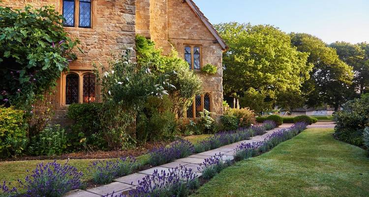 Manoir en pierre avec des bordures de lavande en fleurs et des arbres luxuriants par un matin ensoleillé.
