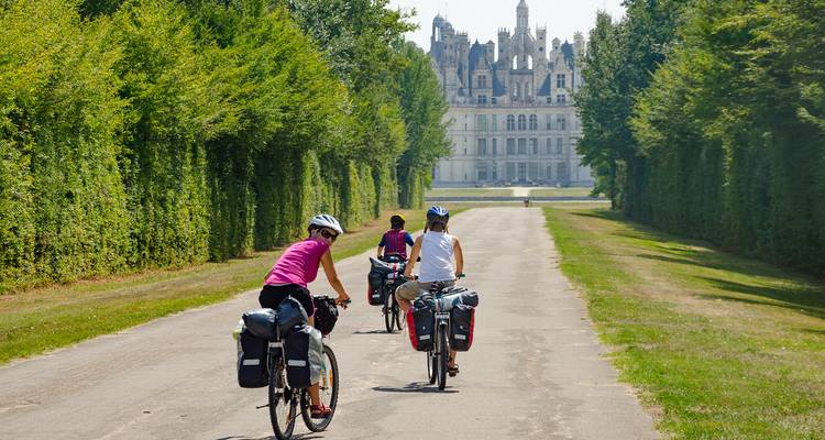 Radfahrer mit Packtaschen fahren entlang eines baumgesäumten Weges auf ein entferntes Loire-Schloss zu.