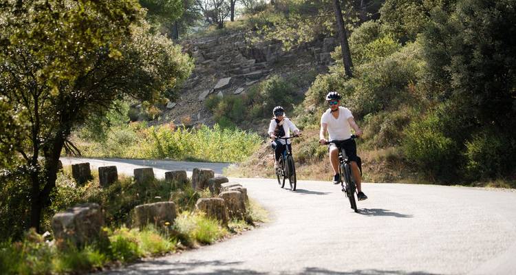 Dos ciclistas van por una carretera rural sombreada bordeada de bloques de piedra en Provenza.