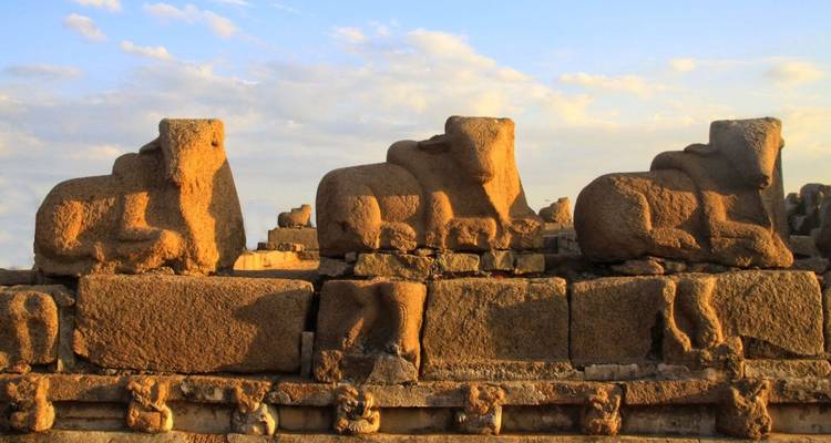 Reihe verwitterter Nandi-Stier-Schnitzereien, die warmes Sonnenuntergangslicht an einer Tempelwand in Mahabalipuram einfangen.