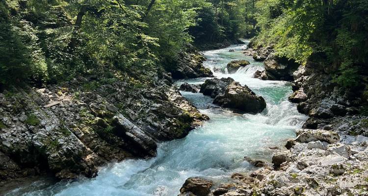 Ruisseau de montagne turquoise se précipitant à travers une gorge rocheuse et boisée.