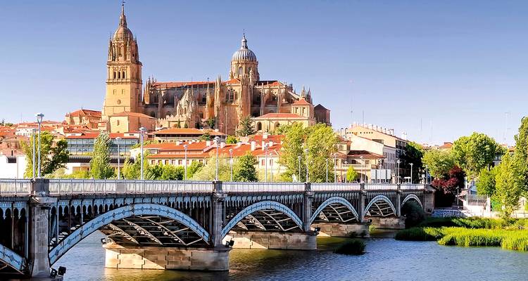 La grande cathédrale de Salamanque s'élève au-dessus des toits de terre cuite et d'un pont de fer enjambant le fleuve Tormes par une journée claire.