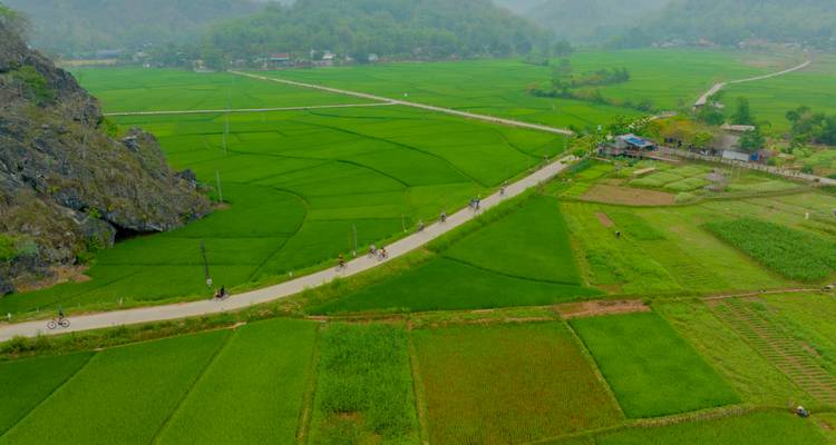 Mosaïque verdoyante de rizières et route sinueuse vues d'en haut dans une vallée brumeuse.