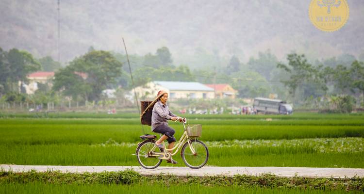 Une femme locale fait du vélo le long d'un sentier rural en passant devant des rizières verdoyantes.