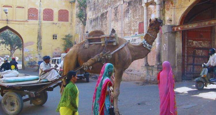 Un camello tira de un carro de madera por una calle polvorienta de un pueblo antiguo mientras mujeres con saris coloridos y una motocicleta pasan junto a paredes y arcos amarillos descoloridos.