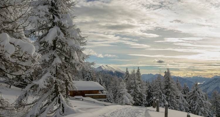 Des conifères chargés de neige bordant un sentier de montagne sous un ciel d'hiver dramatique