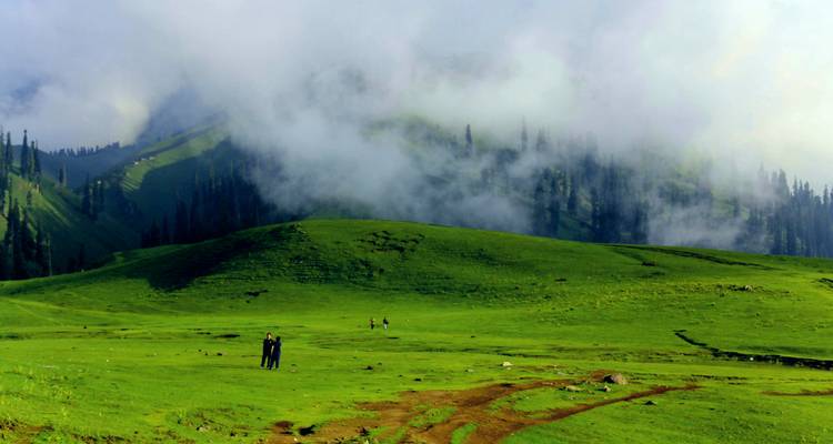 Mist drifts across lush green high-altitude meadow dotted with tiny hikers beneath dark pines.