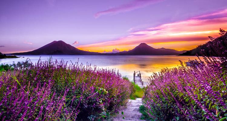 Los vibrantes colores del atardecer iluminan el Lago Atitlán enmarcado por flores moradas y las siluetas de volcanes gemelos.