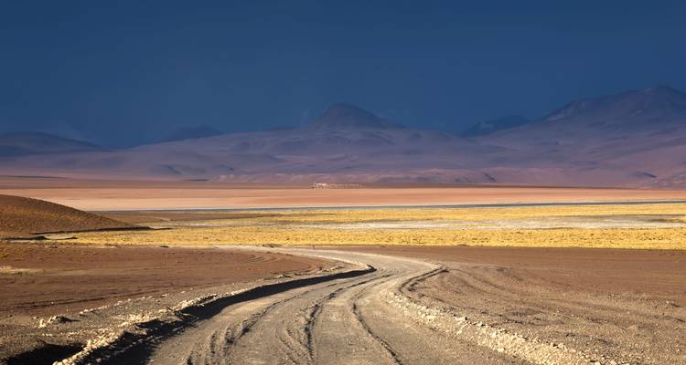 Sentier de terre sinueux traversant une vaste plaine désertique de haute altitude avec des montagnes mauves au loin sous un ciel sombre dramatique.