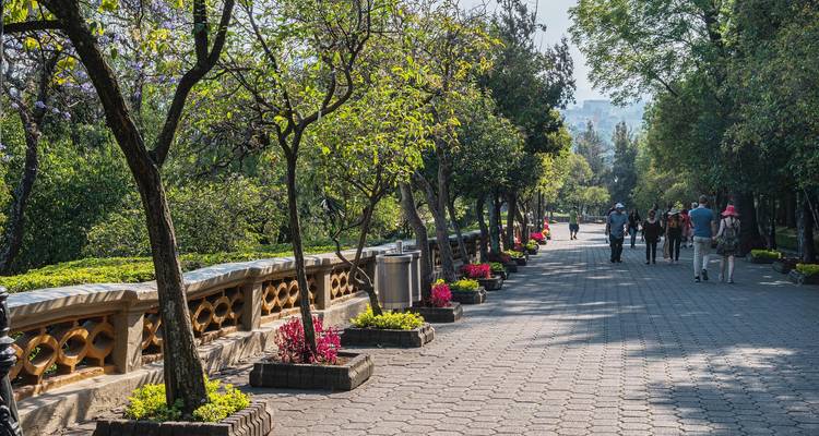 Promenade ombragée dans le parc de Chapultepec bordée de jardinières fleuries et d'arbres matures où se promènent les visiteurs.