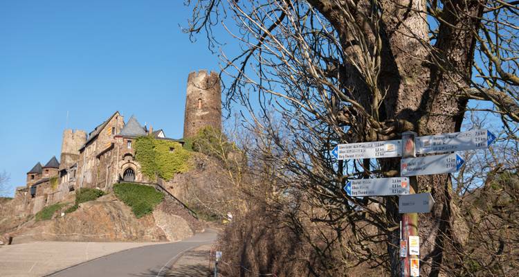 Steinburgruine mit rundem Turm auf einem Hügel neben einer Landstraße und Wegweisern