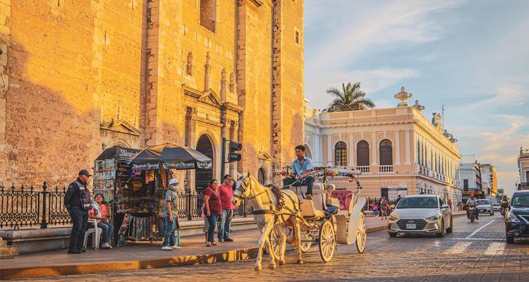 Calèche tirée par des chevaux et habitants locaux devant la cathédrale de Mérida baignés dans la lumière dorée du soir.