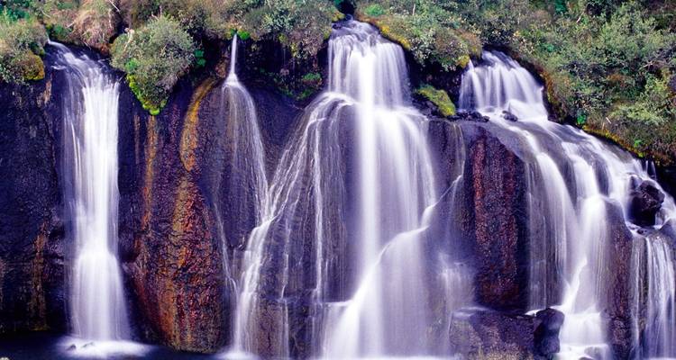 Mehrere Ebenen des ruhigen Wasserfalls Hraunfossar ergießen sich über dunkles Lavagestein, das von üppiger Vegetation umgeben ist.