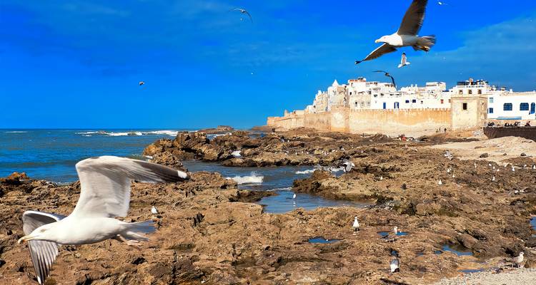 Fortifications côtières d'Essaouira avec des mouettes planant et un littoral rocheux sous un ciel bleu éclatant.