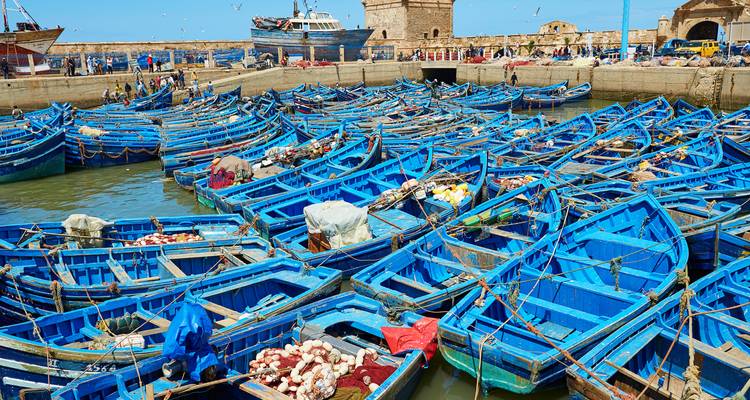 Scène de port bondé avec des dizaines de bateaux de pêche bleu vif amarrés ensemble à Essaouira.