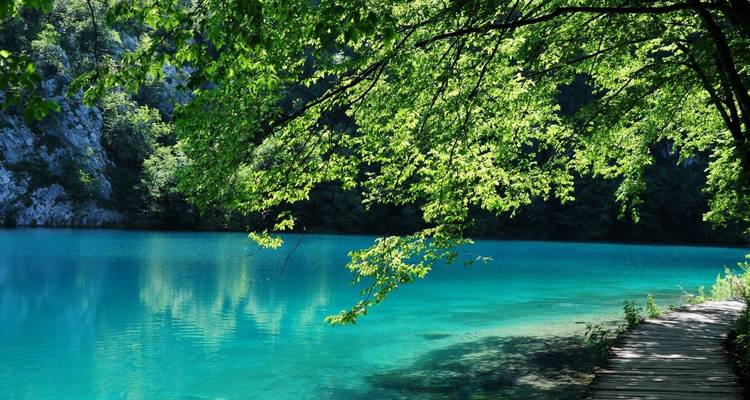 Sereen turquoise meer omzoomd door overhangende bladrijke takken en dramatische kalkstenen kliffen.