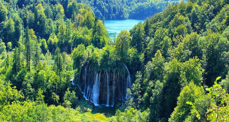 Verhoogd uitzicht over dicht groen bos naar een meer en verborgen watervalwand in Plitvice.