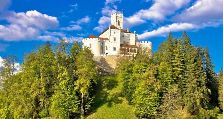 Middeleeuwse kasteel op heuveltop met witte torens en kantelen rijst op boven dicht groen bos onder een levendige hemel.