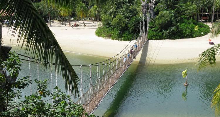 Un puente colgante de cuerda cruza una ensenada turquesa hacia una playa de arena blanca bordeada de palmeras.