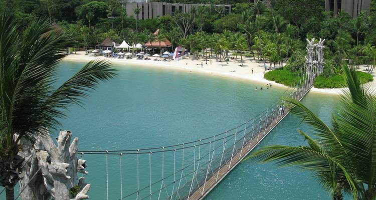 Puente colgante se curva hacia una playa tropical de arena bordeada por agua turquesa y palmeras.
