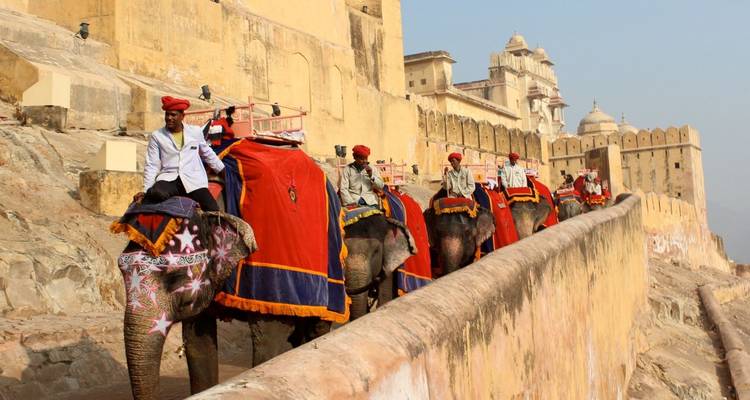 Reihe von farbenfroh geschmückten Elefanten, die Touristen die Sandsteinmauern von Amber Fort hinauftragen.