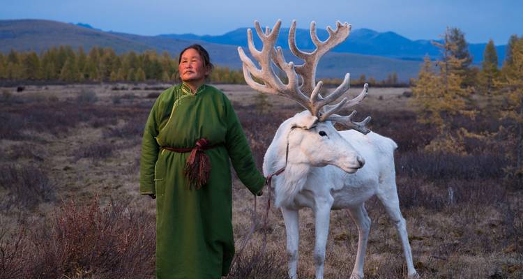 Femme âgée en deel vert se tient fièrement à côté d'un renne blanc rare sur la steppe ouverte au crépuscule.