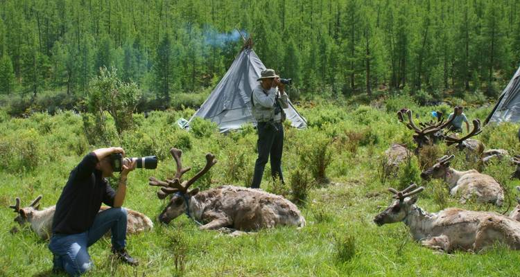 Des photographes s'accroupissent parmi des rennes au repos dans un campement forestier herbeux avec un tipi de toile en arrière-plan.