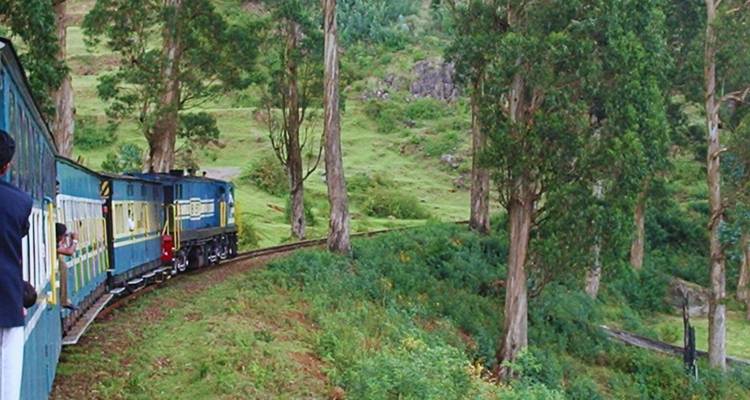 Die historische blaue Nilgiri-Bergbahn schlängelt sich auf schmalen, kurvigen Gleisen durch üppig grünen Bergwald.