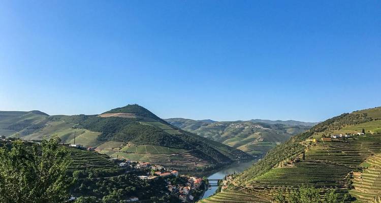 Weite Sicht auf terrassierte Weinberge, die sich die Hügelhänge hinab zum Douro-Fluss erstrecken unter einem klaren blauen Himmel.