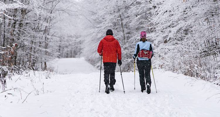 Paire de marcheurs utilisant des bâtons sur un sentier forestier enneigé pendant une chute de neige légère