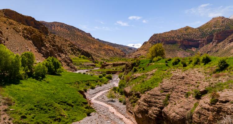Valle verde con un arroyo serpenteante enmarcado por las escarpadas montañas del Atlas y picos nevados distantes.