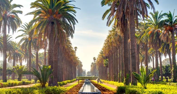 Larga avenida simétrica bordeada de altas palmeras que flanquean un estrecho canal reflectante.
