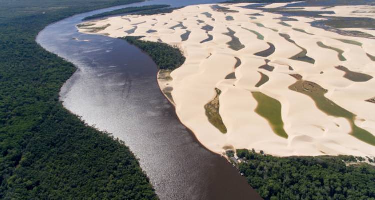 Vue aérienne où une rivière sinueuse rencontre des dunes de sable ondulantes et une forêt luxuriante