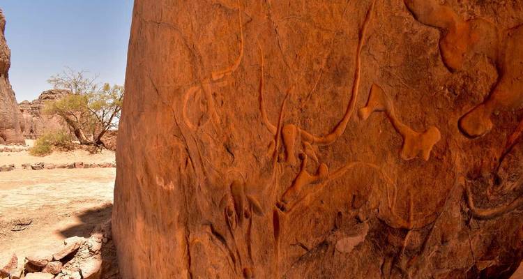 Detailed view of ancient rock engravings etched into orange sandstone